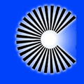 Cornell Welding & Fabricating Ltd.