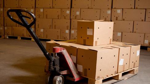 pallet truck