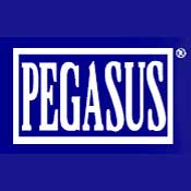  Pegasus Glass